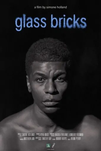 Glass Bricks Film izle