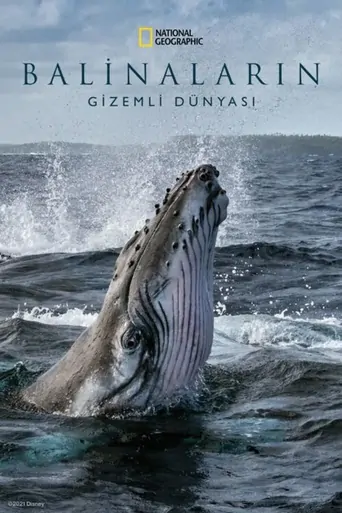 Balinaların Gizemli Dünyası Dizi izle