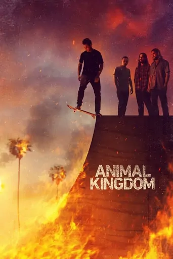 Animal Kingdom Dizi izle