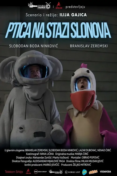 Ptica na stazi slonova