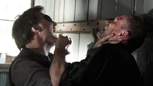 Bu Acı Hayat